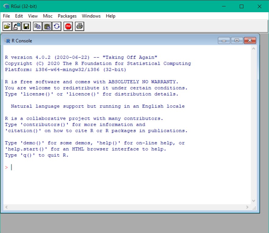 A screenshot of RGui