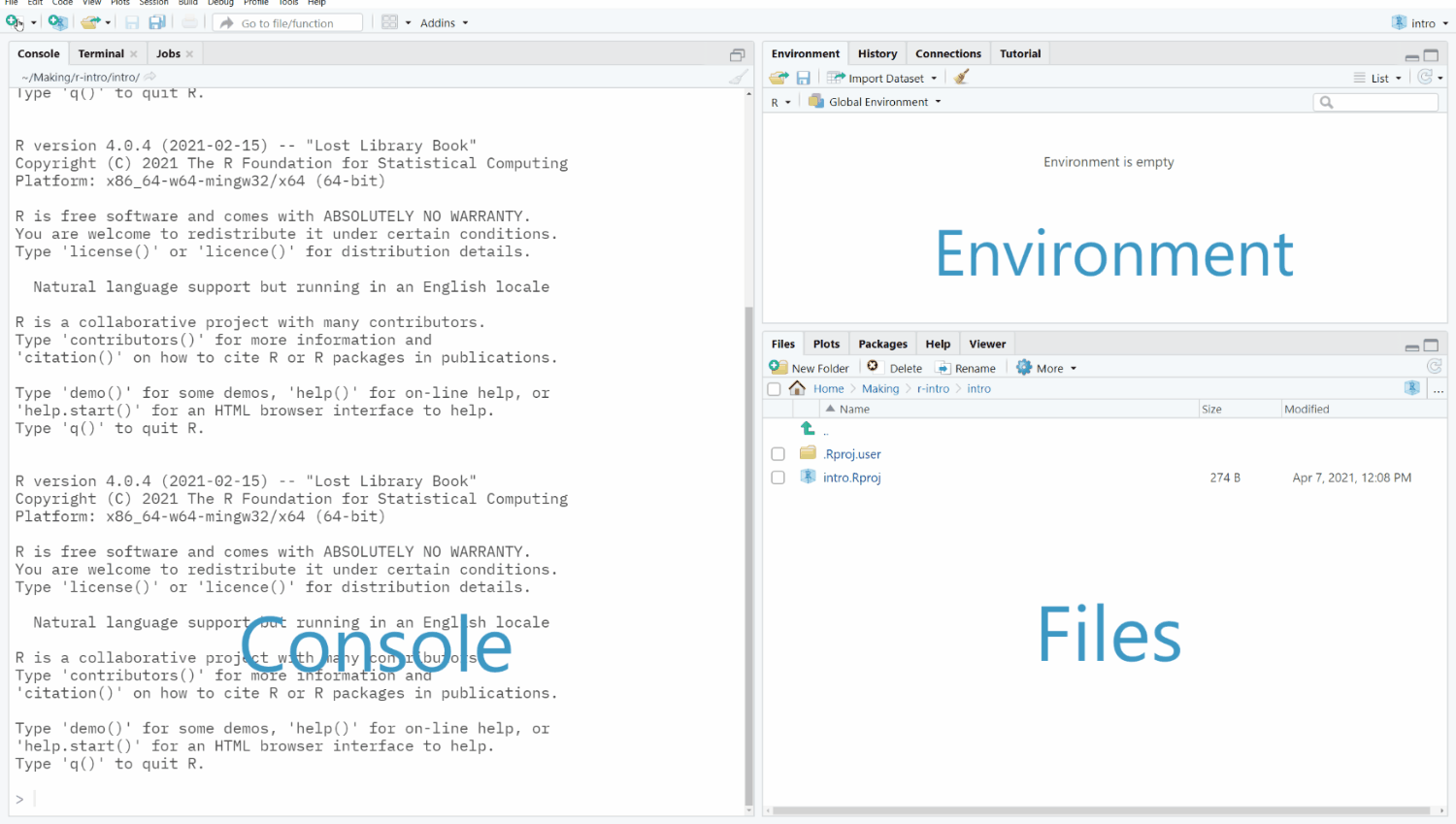 A screen capture of the RStudio user interface